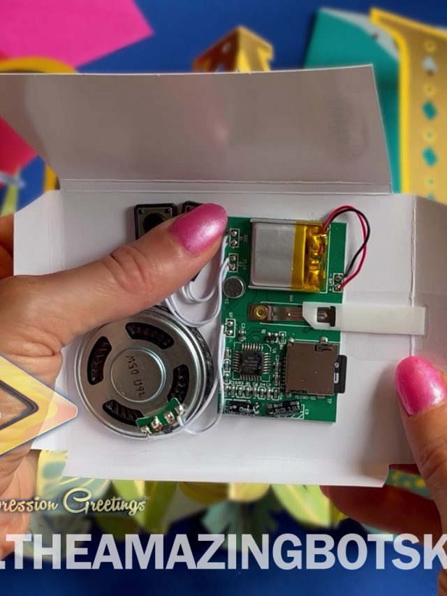 Botski Pushto Record - Talking Greeting Card Custom Audio Card