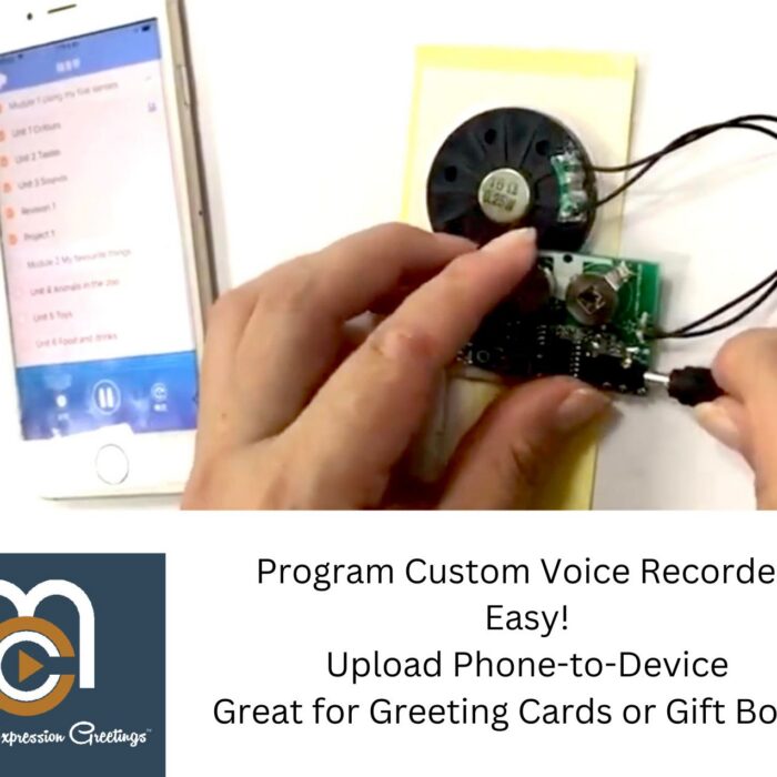 Voice Recorders Cards