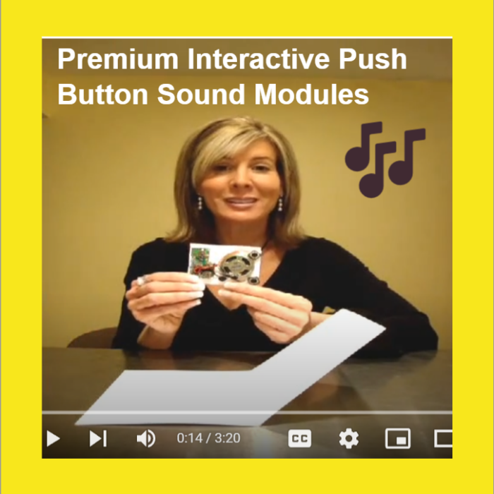  Pre-Recorded Push Button Sound Modules for Promotional Use