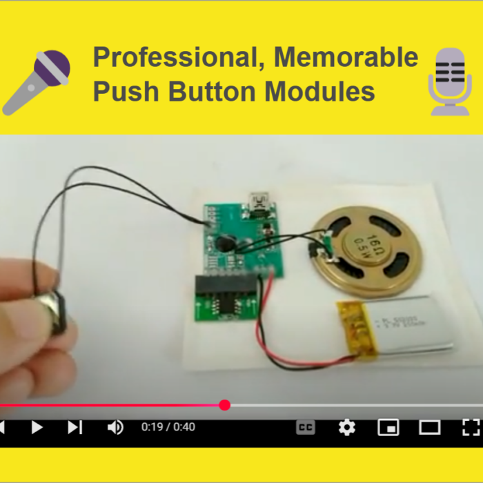 Custom Sound Chips with Long Playback for High-Impact Marketing