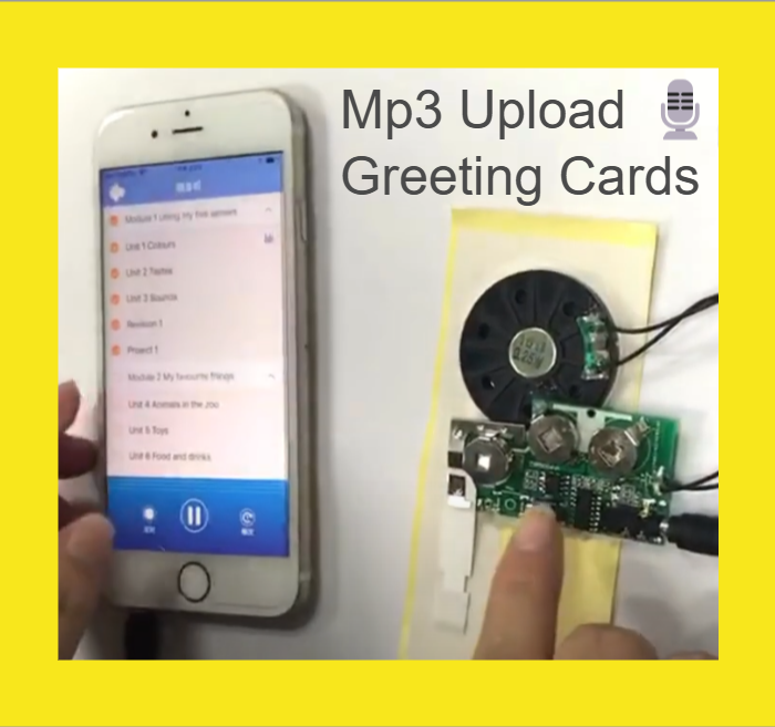 DIY Sound Module (Re-Recordable)