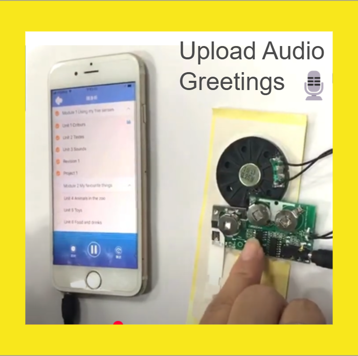 Sound Module for Packaging & Boxes
